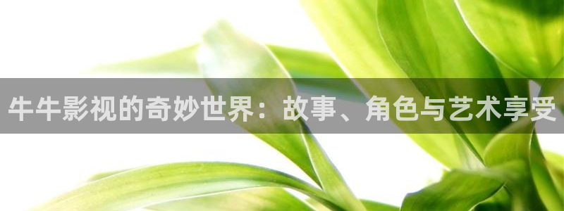 神马免费影院在线观看