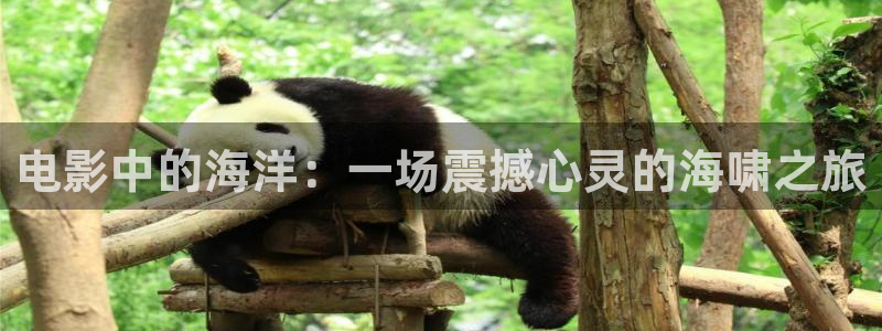 神马影院内衣办公室