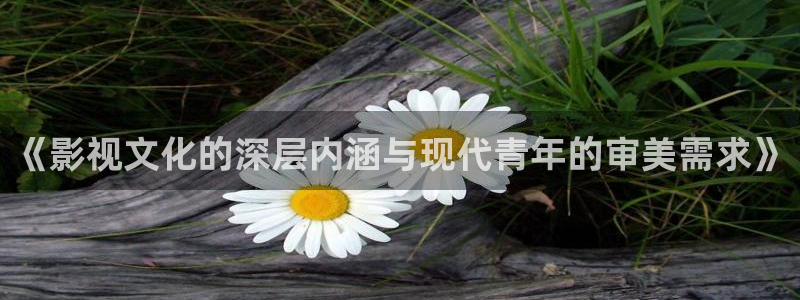 神马影院影院影院