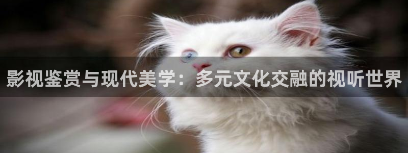 神马影院美国丽人