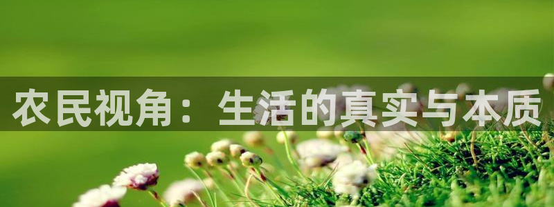 神马影院午夜片在线观看