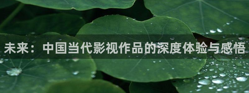 神马老电影免费看大片