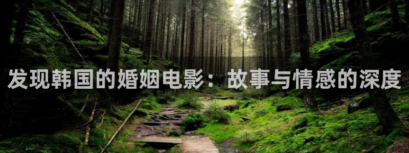神马手机手机影院
