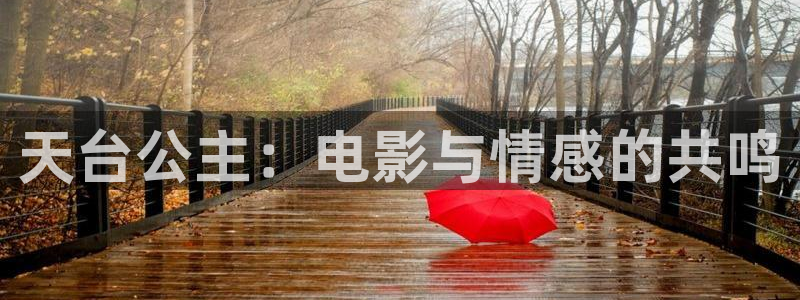 神马电影达达兔秋霞电影
