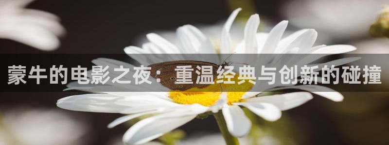 神马影视影