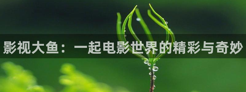 神马电影飘花