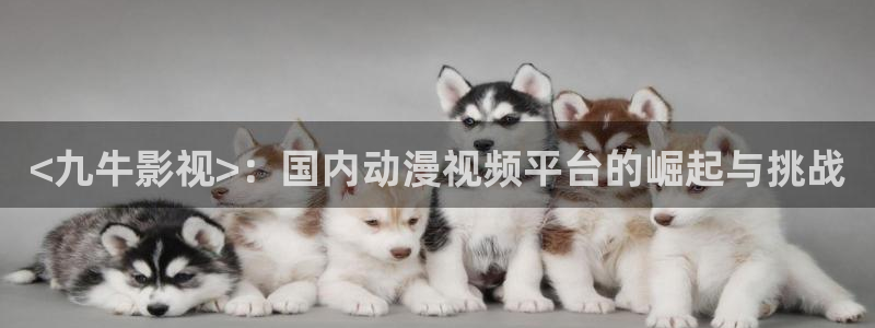 神马影视大全在线