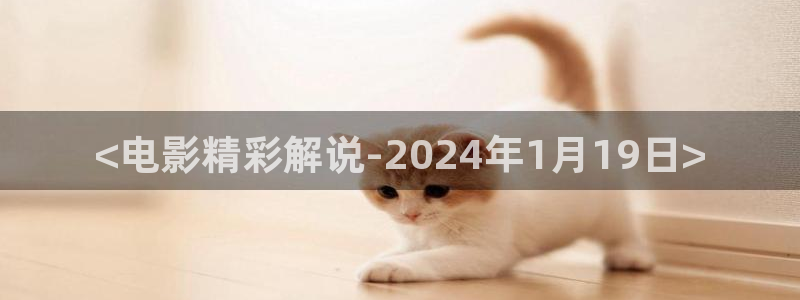 神马影院dy888午夜电影通