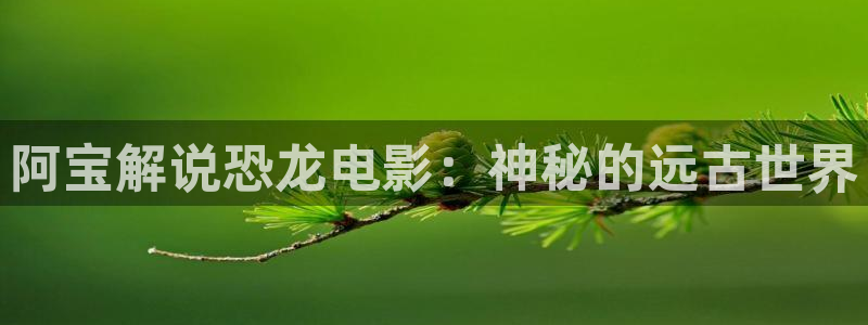 神马影院性