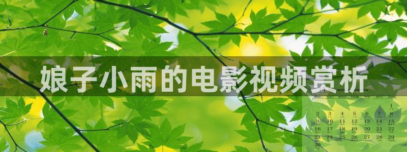 神马老子不卡影院：娘子小雨的电影视频赏析