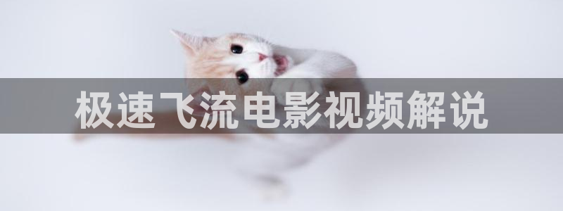 神马电影手机免费在线观看电影