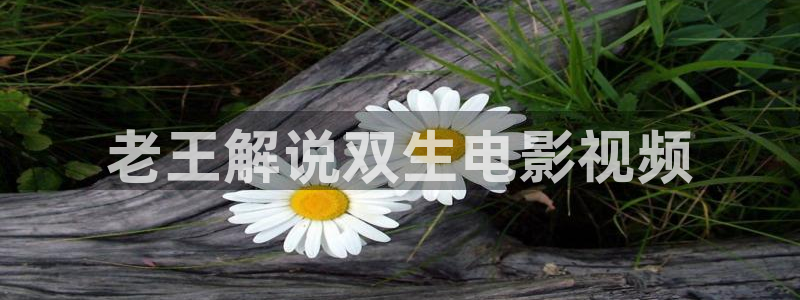 神马最新限制级电影