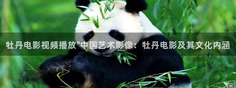神马我不卡手机
