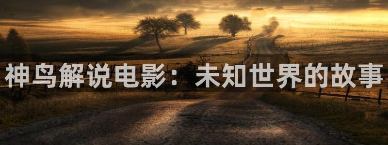 神马影院达达兔电影