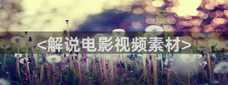 琪琪神马影院在线观看