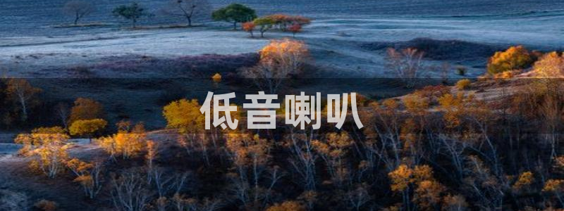 神马电影网限制级电影免费观看