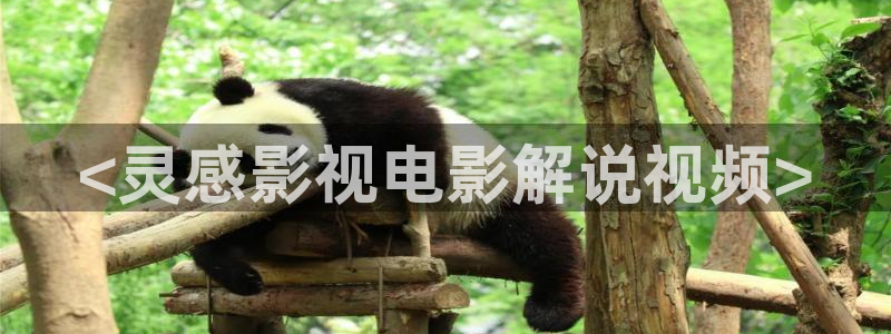 神马影院r