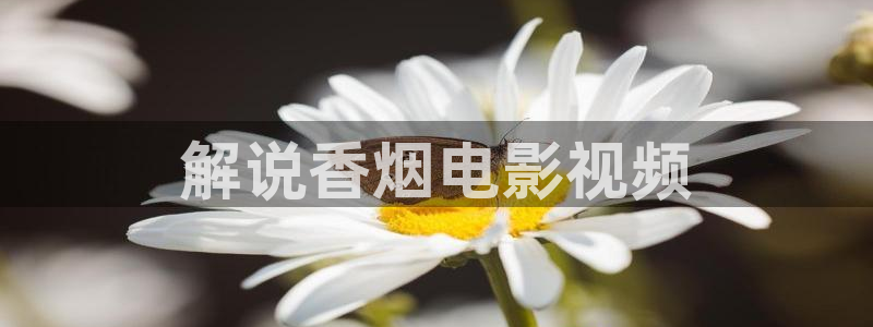 午夜伦理神马影院