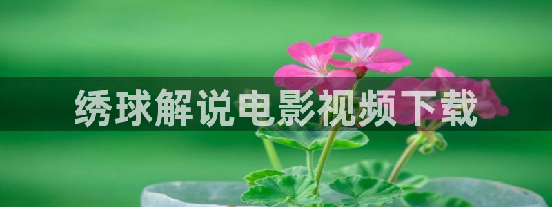 神马快影院