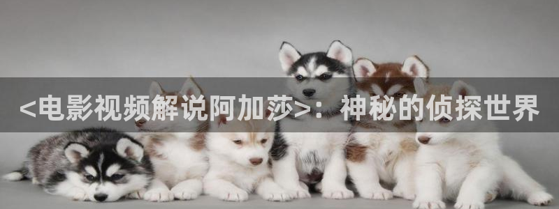 神马电影理伦在线观看