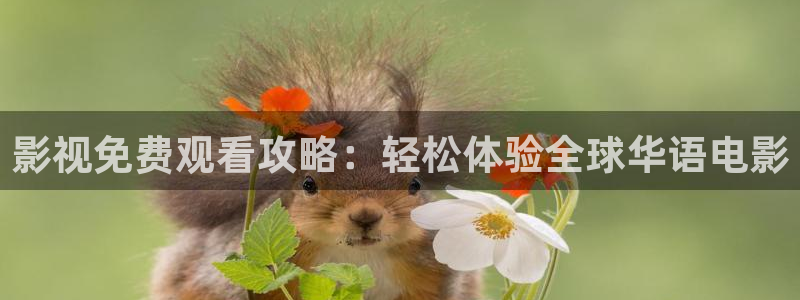 神马电影之我不卡