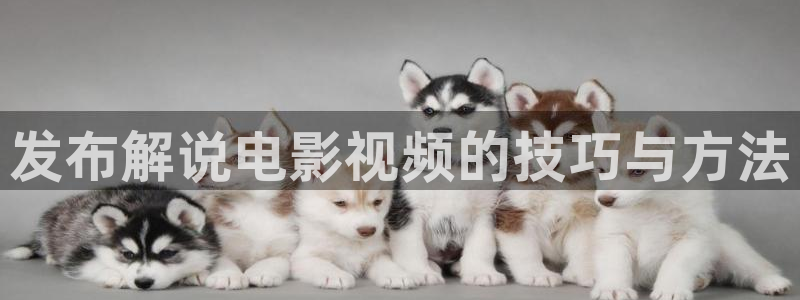 神马网站影院