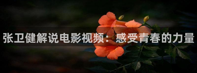 神马电影网伦理