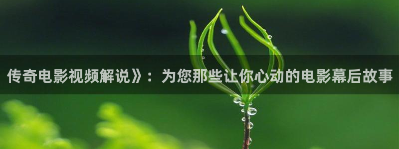 神马伦理三级