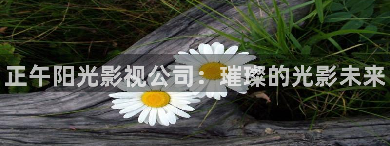 伦理片在线神马影院：正午阳光影视公司：璀璨的光影未来
