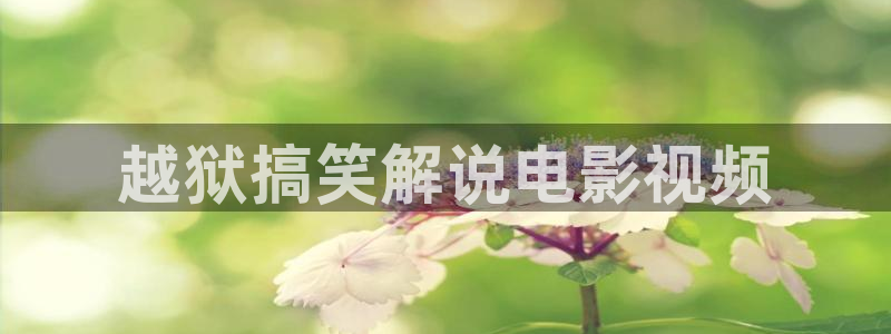 华丽的外出神马影院：越狱搞笑解说电影视频
