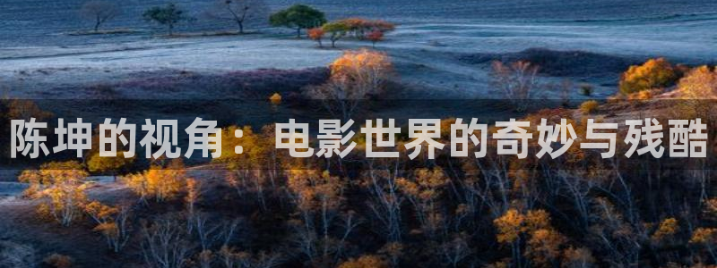 神马不卡免费视频