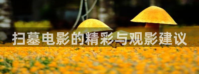 神马影院白旗影院在线观看