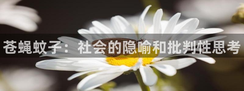 97神马伦理影院：苍蝇蚊子：社会的隐喻和批判性思考