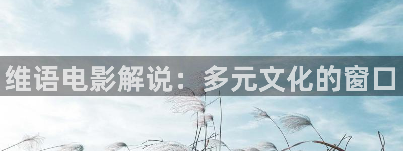 神马天堂ok影院：维语电影解说：多元文化的窗口