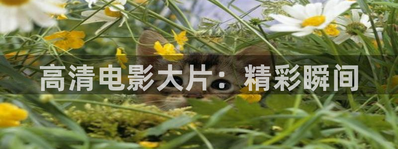 神马星辰免费电影