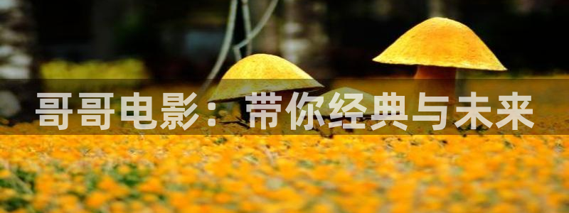 久久影院神马影院